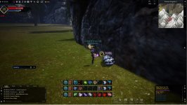 bug.jpg