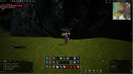 bug1.jpg