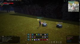 bug3.jpg