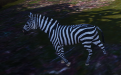 1692170976161.png