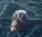1692171034191.png