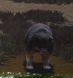 1692171071578.png