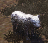 1692171097827.png