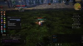 aaaa.jpg