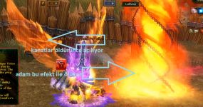 asdsa.png