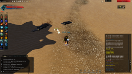 kutu2.png