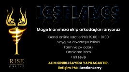 LOS FLAMOS.jpg