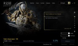 rise download.JPG