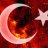MrYESiL