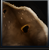 Raw Leather Wolf.png