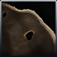 Raw-Bear-Leather.png