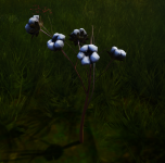 1774351100021.png