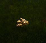 1774352133485.png